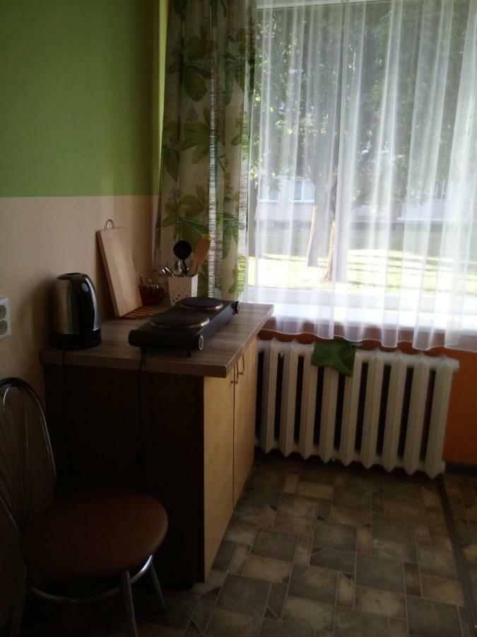 דירות Anykščiai Anykstuko Butas מראה חיצוני תמונה